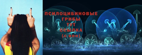 ALPHA PVP Каменск-Шахтинский