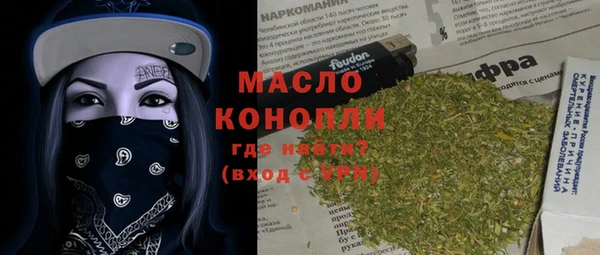 мет Инта