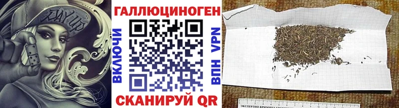 купить закладку Каменск-Шахтинский Галлюциногенные грибы Cubensis
