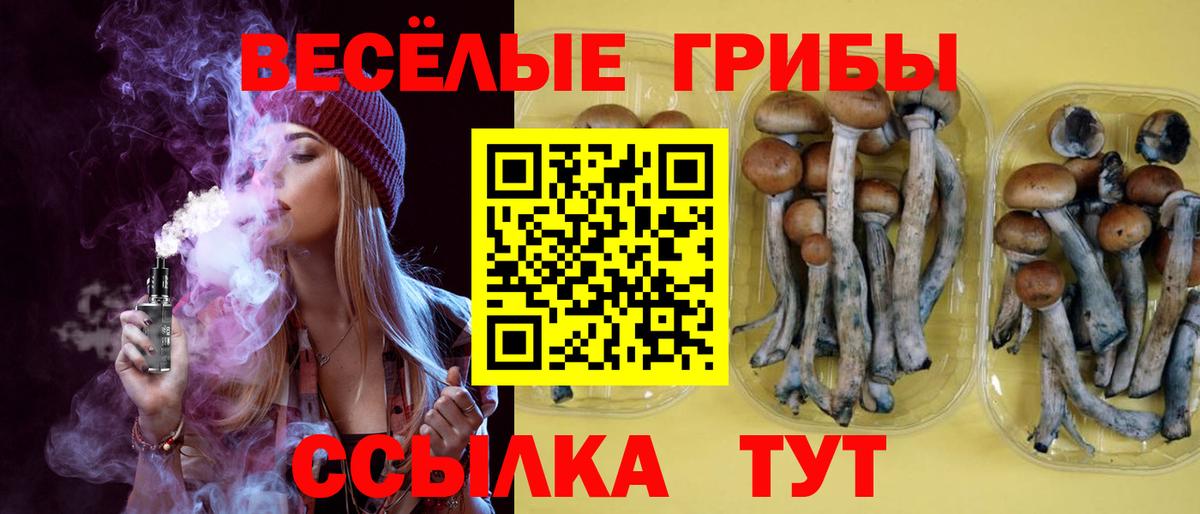 Псилоцибиновые грибы Psilocybine cubensis Каменск-Шахтинский
