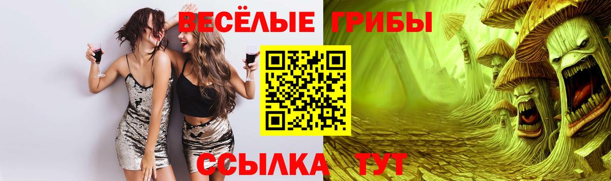 Псилоцибиновые грибы GOLDEN TEACHER  Вход с VPN  Каменск-Шахтинский 